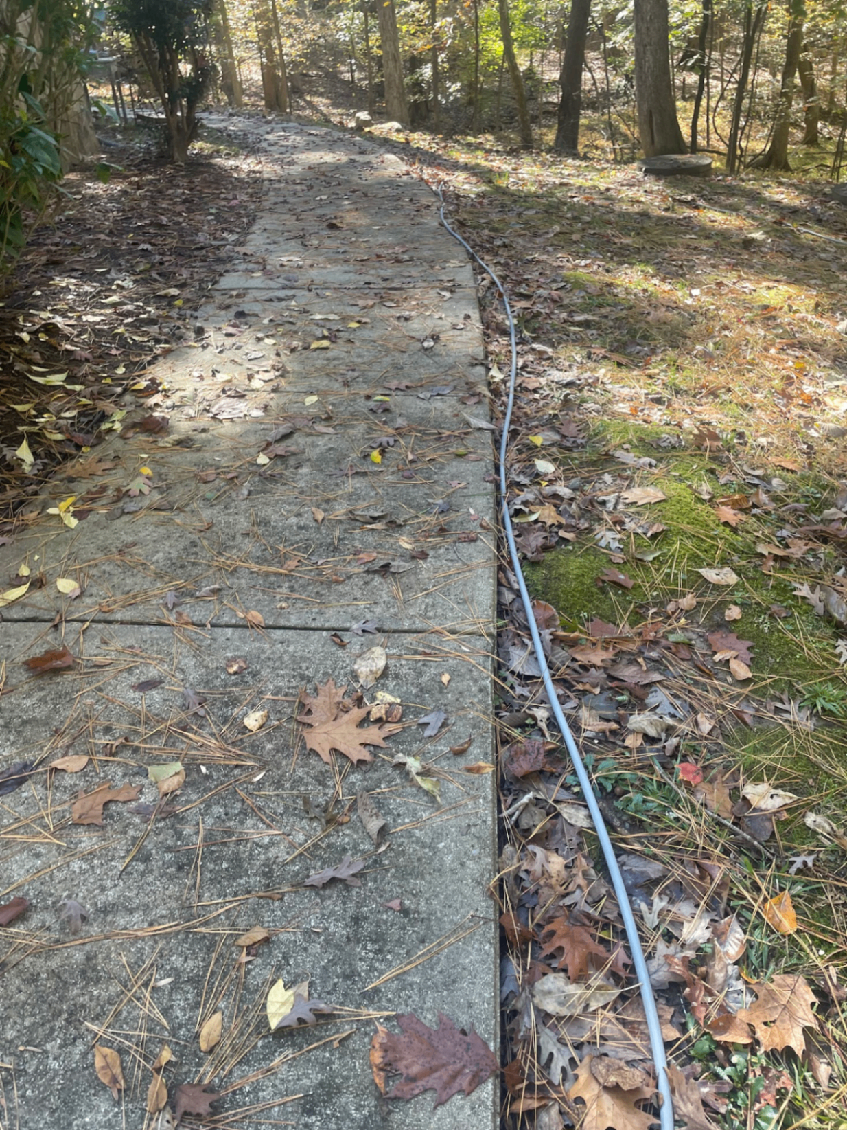 Sidewalk & Concrete Cleaning before